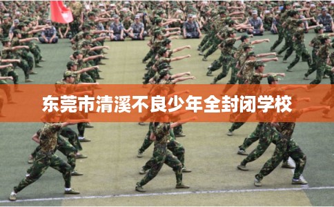 东莞市清溪不良少年全封闭学校