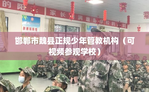 邯郸市魏县正规少年管教机构（可视频参观学校）