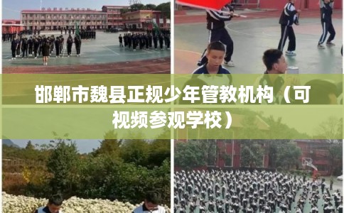 邯郸市魏县正规少年管教机构（可视频参观学校）