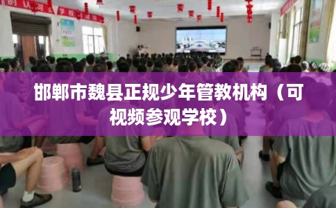 邯郸市魏县正规少年管教机构（可视频参观学校）