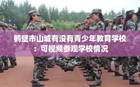 鹤壁市山城有没有青少年教育学校：可视频参观学校情况
