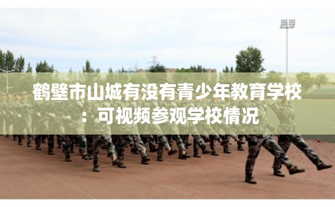 鹤壁市山城有没有青少年教育学校：可视频参观学校情况