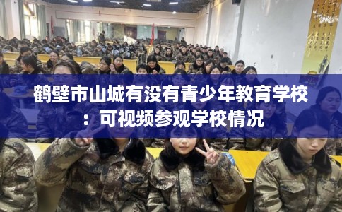 鹤壁市山城有没有青少年教育学校：可视频参观学校情况