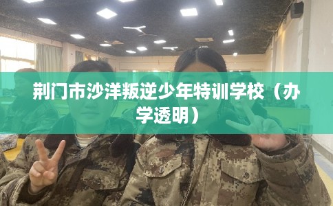 荆门市沙洋叛逆少年特训学校（办学透明）