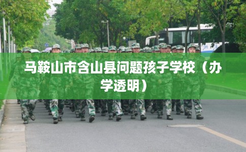 马鞍山市含山县问题孩子学校（办学透明）