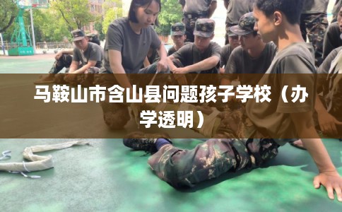 马鞍山市含山县问题孩子学校（办学透明）