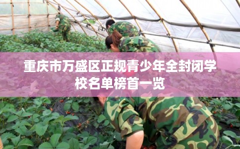 重庆市万盛区正规青少年全封闭学校名单榜首一览