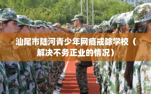 汕尾市陆河青少年网瘾戒除学校（解决不务正业的情况）