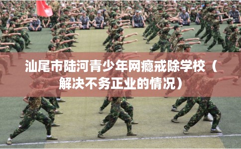 汕尾市陆河青少年网瘾戒除学校（解决不务正业的情况）