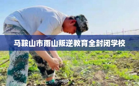 马鞍山市雨山叛逆教育全封闭学校