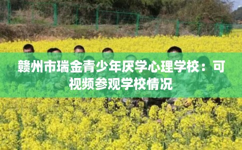 赣州市瑞金青少年厌学心理学校：可视频参观学校情况