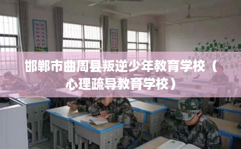 邯郸市曲周县叛逆少年教育学校（心理疏导教育学校）
