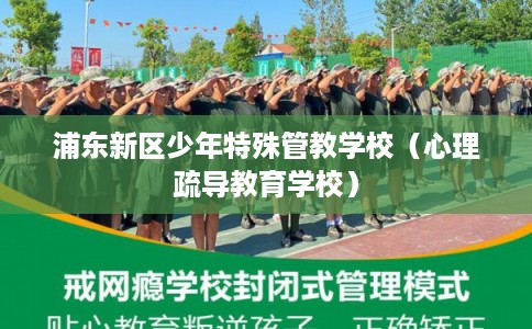 浦东新区少年特殊管教学校（心理疏导教育学校）