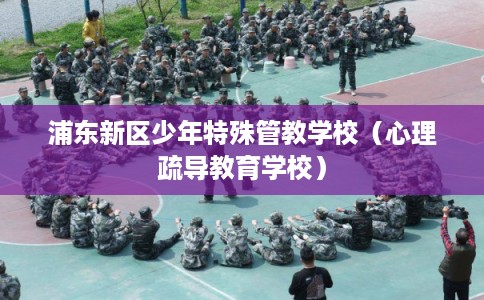 浦东新区少年特殊管教学校（心理疏导教育学校）