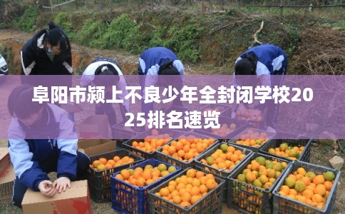 阜阳市颍上不良少年全封闭学校2025排名速览