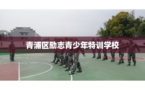 青浦区励志青少年特训学校