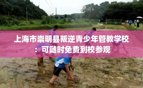 上海市崇明县叛逆青少年管教学校：可随时免费到校参观