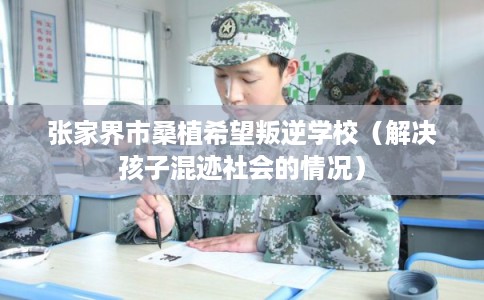 张家界市桑植希望叛逆学校（解决孩子混迹社会的情况）