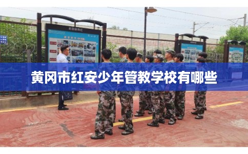 黄冈市红安少年管教学校有哪些