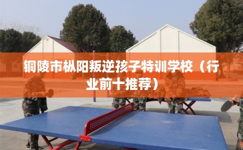铜陵市枞阳叛逆孩子特训学校（行业前十推荐）
