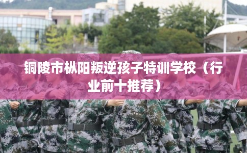 铜陵市枞阳叛逆孩子特训学校（行业前十推荐）