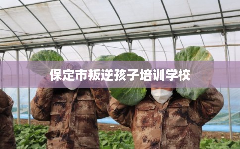 保定市叛逆孩子培训学校