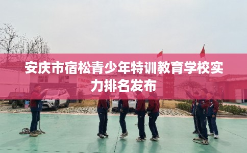 安庆市宿松青少年特训教育学校实力排名发布