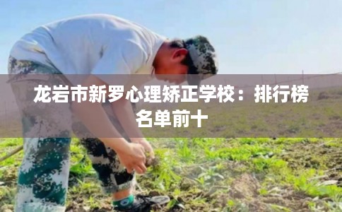 龙岩市新罗心理矫正学校：排行榜名单前十