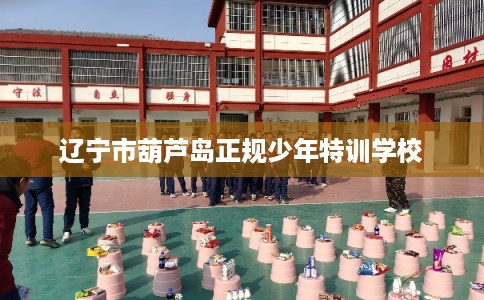 辽宁市葫芦岛正规少年特训学校