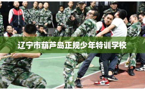 辽宁市葫芦岛正规少年特训学校