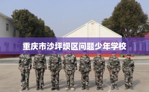 重庆市沙坪坝区问题少年学校