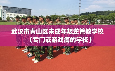 武汉市青山区未成年叛逆管教学校（专门戒游戏瘾的学校）