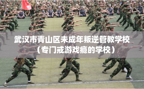 武汉市青山区未成年叛逆管教学校（专门戒游戏瘾的学校）