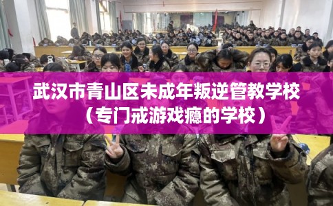 武汉市青山区未成年叛逆管教学校（专门戒游戏瘾的学校）
