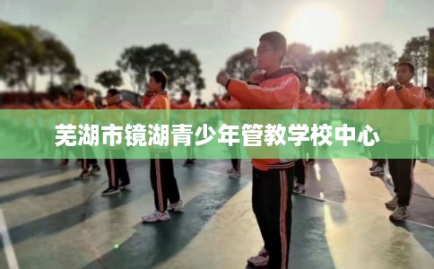 芜湖市镜湖青少年管教学校中心