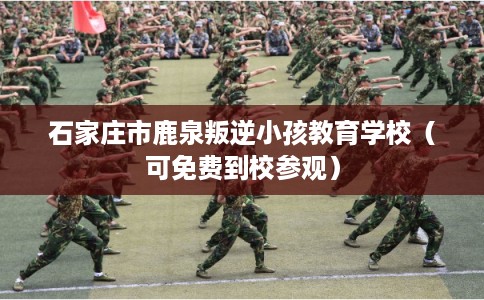 石家庄市鹿泉叛逆小孩教育学校（可免费到校参观）