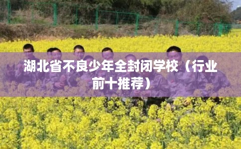 湖北省不良少年全封闭学校（行业前十推荐）