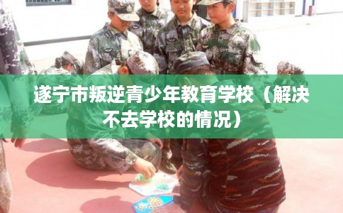 遂宁市叛逆青少年教育学校（解决不去学校的情况）
