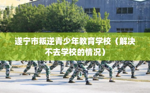 遂宁市叛逆青少年教育学校（解决不去学校的情况）