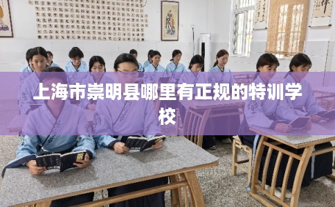 上海市崇明县哪里有正规的特训学校