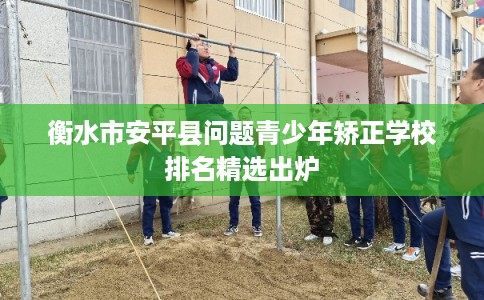 衡水市安平县问题青少年矫正学校排名精选出炉