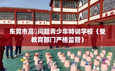 东莞市高埗问题青少年特训学校（受教育部门严格监管）