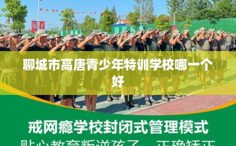 聊城市高唐青少年特训学校哪一个好