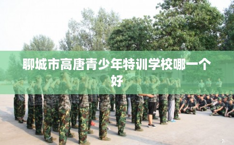 聊城市高唐青少年特训学校哪一个好
