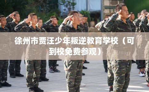 徐州市贾汪少年叛逆教育学校（可到校免费参观）