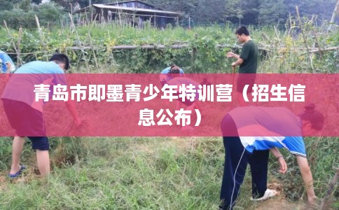 青岛市即墨青少年特训营（招生信息公布）