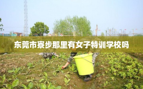 东莞市寮步那里有女子特训学校吗