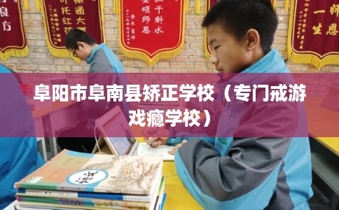阜阳市阜南县矫正学校（专门戒游戏瘾学校）