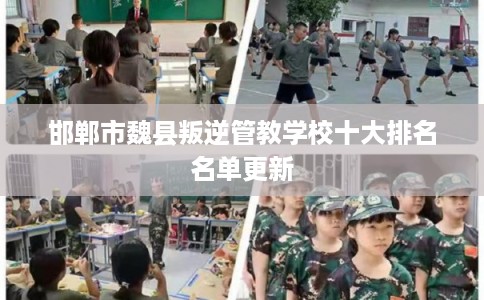 邯郸市魏县叛逆管教学校十大排名名单更新