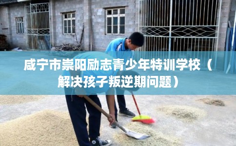 咸宁市崇阳励志青少年特训学校（解决孩子叛逆期问题）